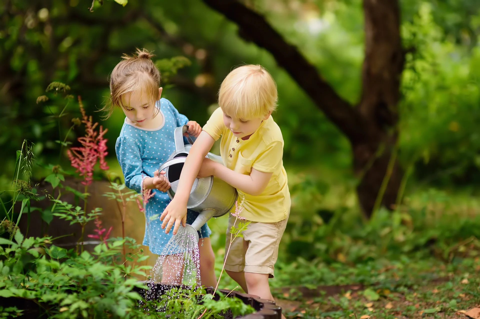 Madison School for Young Children